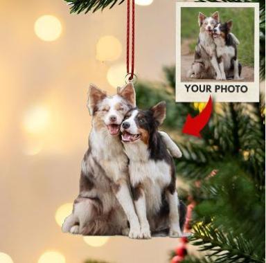 Picture Perfect Holiday Ornaments